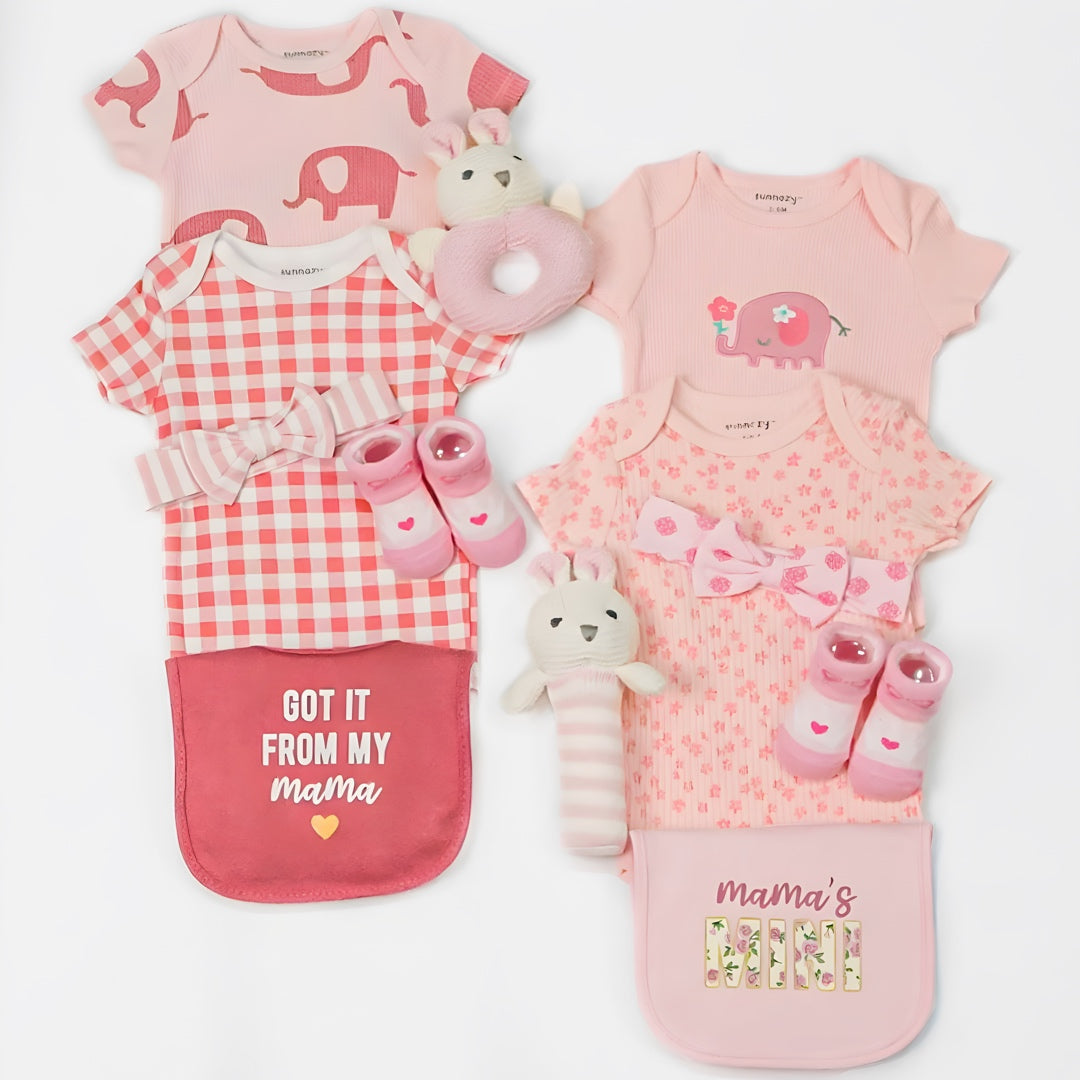 Mama’s Minis – Twin Baby Girls Hamper